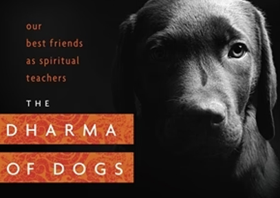 soundstrue-thumbnail